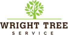 Wright Tree Service Logo
