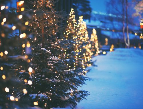 How To Safely Hang Outdoor Lights On Your Trees