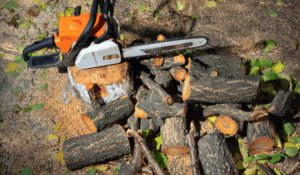 Chainsaw and cut tree branches being cleared after storm damage